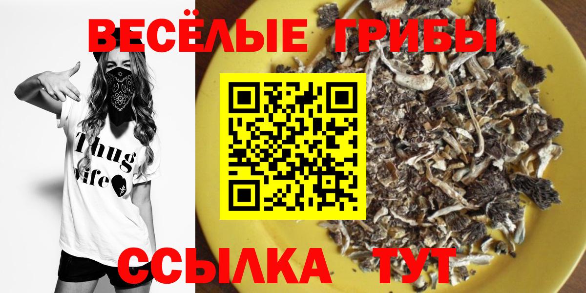 Мефедрон   МДМА  Гашиш  Скопин  Купить наркотики цена  Вход с VPN  Марихуана 
