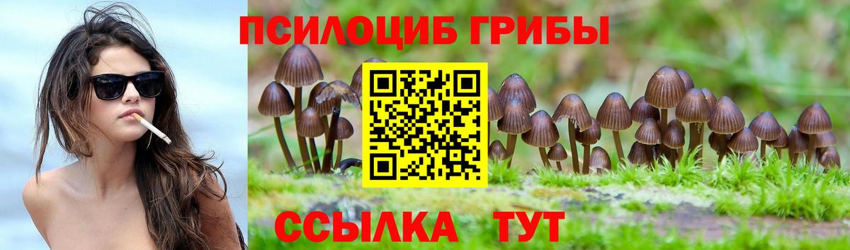Галлюциногенные грибы прущие грибы  Вход с VPN  где купить наркотик  Галлюциногенные грибы Magic Shrooms  Скопин 
